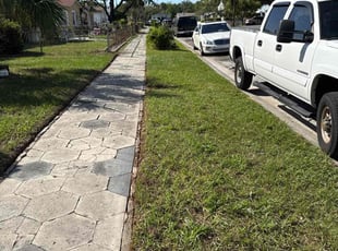 Randi M.'s turf care service result