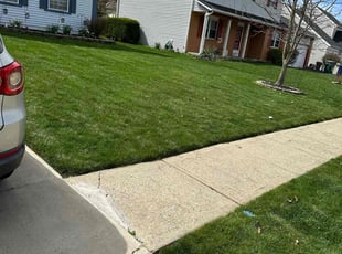 Kelly S.'s lawn maintenance service result