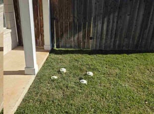 Jason J.'s lawn service service result