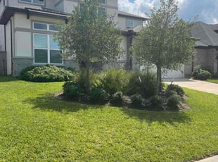 David S.'s grass cutting service result