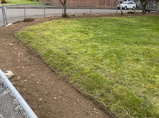 Debbie S.'s Bush Trimming service result