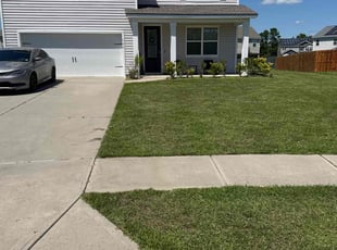 Yvonne D.'s lawn service service result