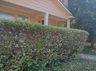 Maria T.'s Bush Trimming service result