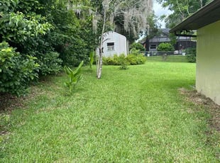 Amanda I.'s turf maintenance service result