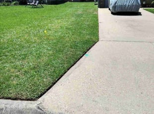 Lori D.'s turf maintenance service result