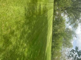 Amanda P.'s lawn service service result