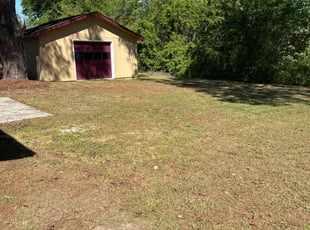 Sophia R.'s lawn care services service result
