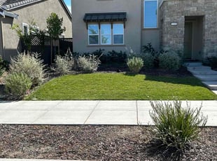 Quinton R.'s grass maintenance service result