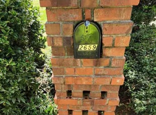 Pamela X.'s grass maintenance service result