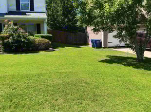 Susan K.'s lawn care services service result