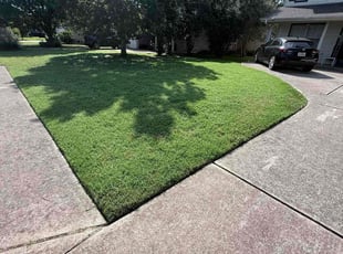Steve F.'s grass maintenance service result