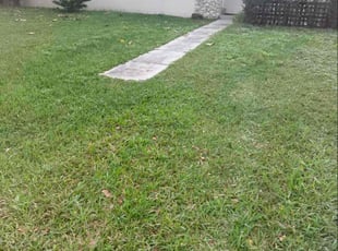 Manuel C.'s turf care service result