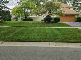 Jennifer H.'s lawn service service result