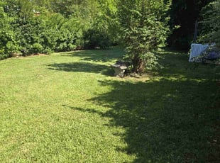 Tonya P.'s grass maintenance service result