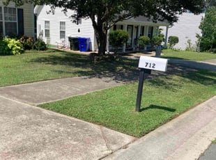 Myona M.'s lawn care services service result