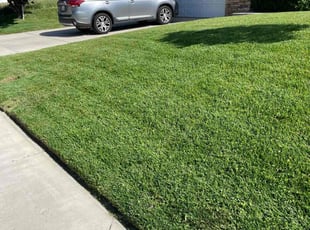 Richard E.'s turf maintenance service result