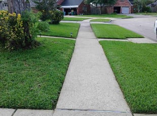 Dennis W.'s turf maintenance service result