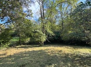 Sara M.'s Leaf Removal service result