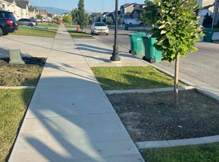 Lou H.'s Landscaping service result