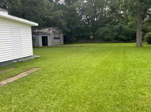 Toan D.'s lawn service service result