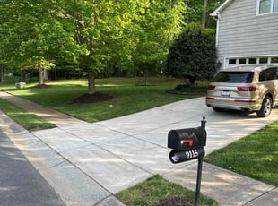 D'Monique O.'s grass cutting service result