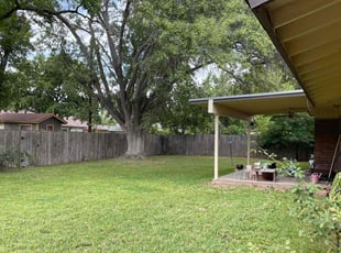 Angela P.'s yard maintenance service result