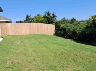 Alpeshkumar C.'s lawn maintenance service result
