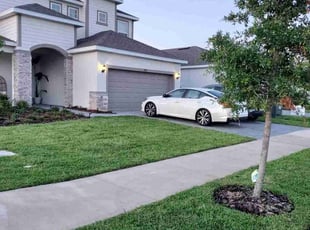 Rajagopalan S.'s grass cutting service result