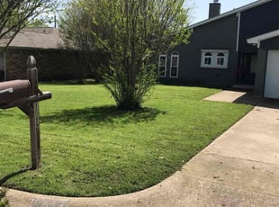 Rosana M.'s lawn service service result