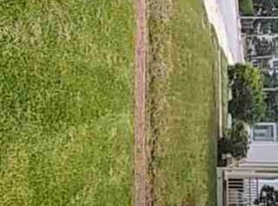 Arpit P.'s lawn service service result