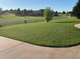 Chrissy S.'s grass cutting service result