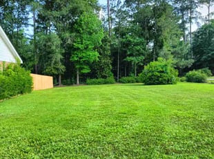 Mary F.'s lawn service service result