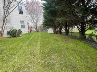 Donald W.'s grass maintenance service result