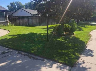 Gregory W.'s Bush Trimming service result