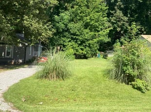 David S.'s lawn maintenance service result