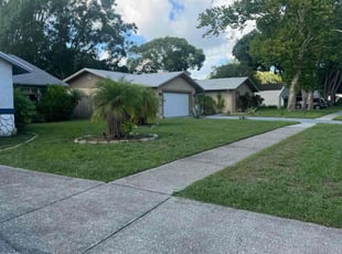 Michael P.'s grass cutting service result