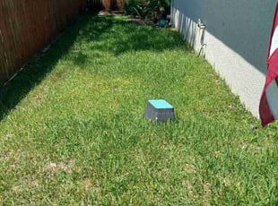 Mitchell K.'s turf care service result