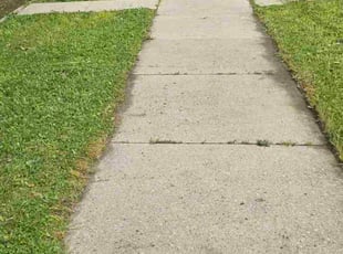 Hanh L.'s turf maintenance service result