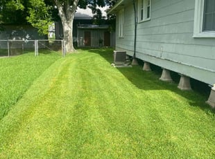 Robert M.'s grass cutting service result