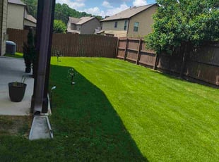 Nadine S.'s grass maintenance service result