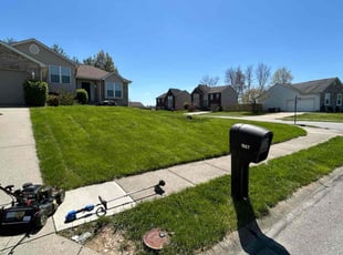 Canvyis H.'s lawn care services service result