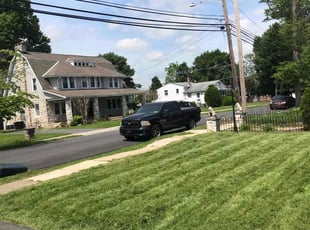 Denise O.'s lawn service service result