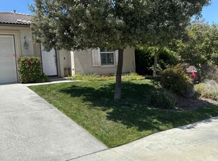 Brian E.'s lawn service service result