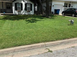 Ukachi A.'s lawn care service result