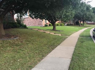 Lauren A.'s lawn care service result