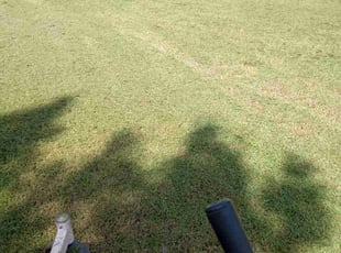 Desmond W.'s turf maintenance service result