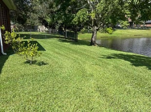 Lori B.'s lawn care services service result