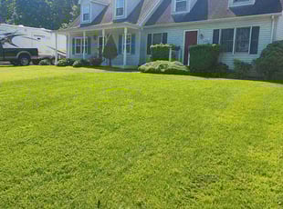 Nathaniel D.'s lawn service service result