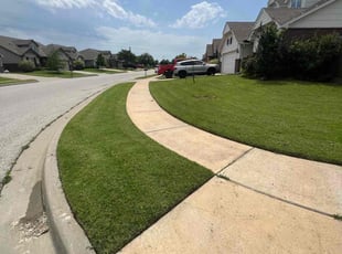 Betsy U.'s grass maintenance service result