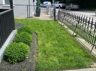 Michael G.'s landscaping service result